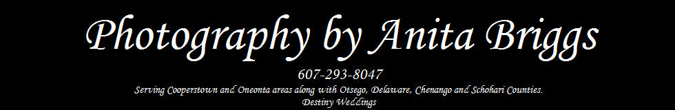 Utica Photographer