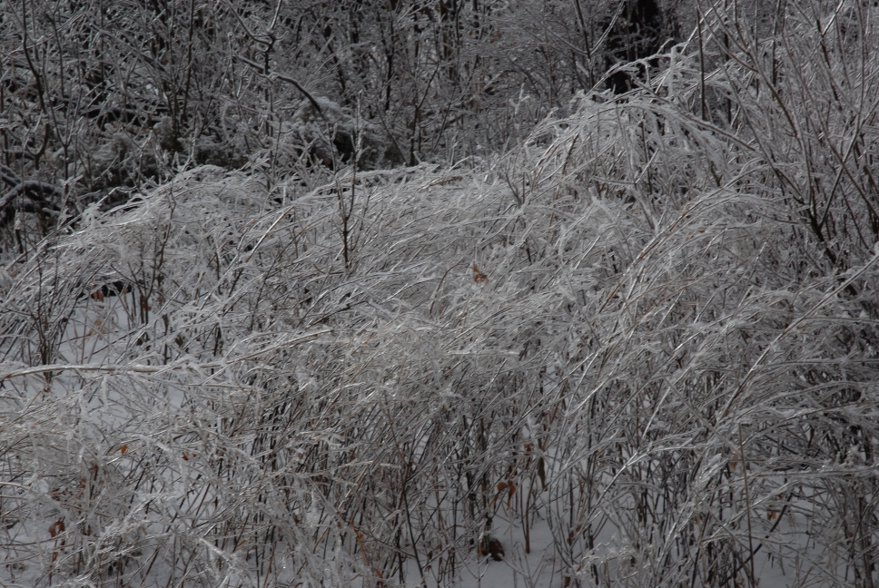 Schoharie County IceStorm