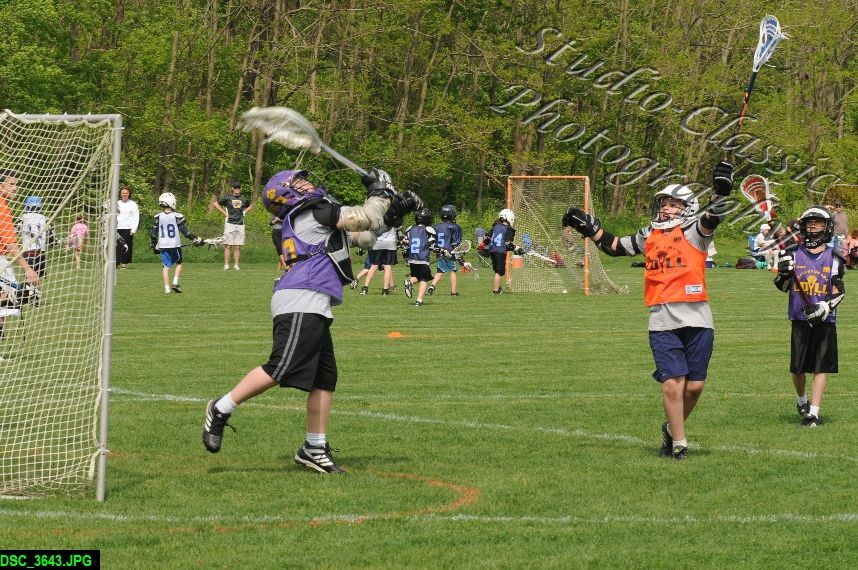 Albany Lacrosse Jamboree
