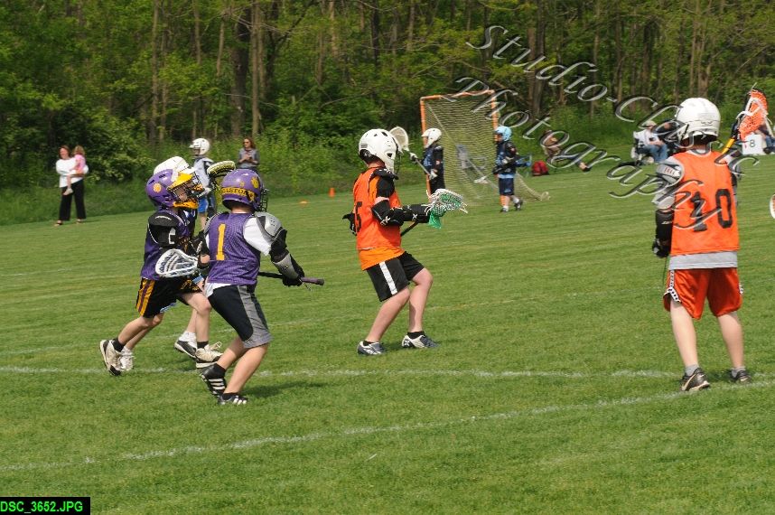 Albany Lacrosse Jamboree