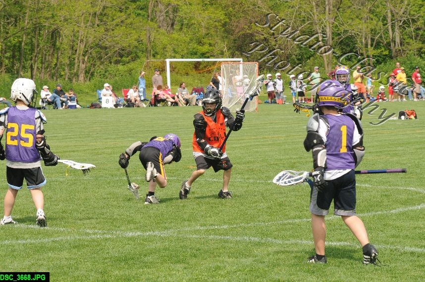 Albany Lacrosse Jamboree