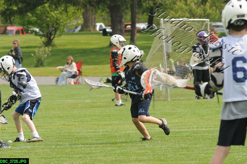 Albany Lacrosse Jamboree