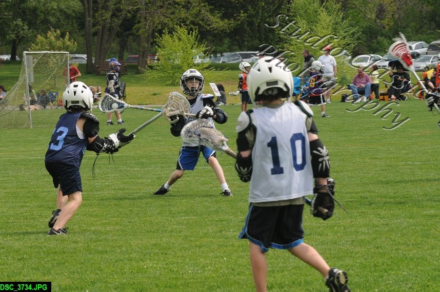 Albany Lacrosse Jamboree