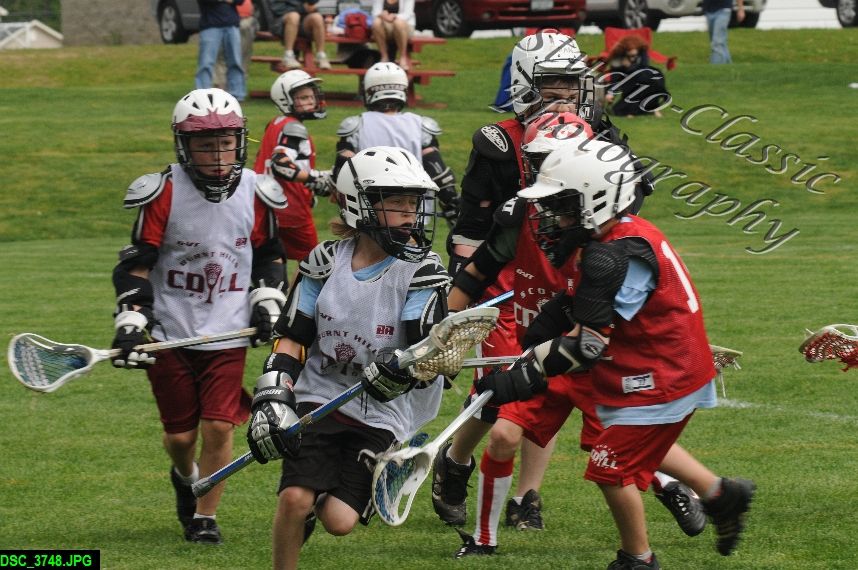 Albany Lacrosse Jamboree