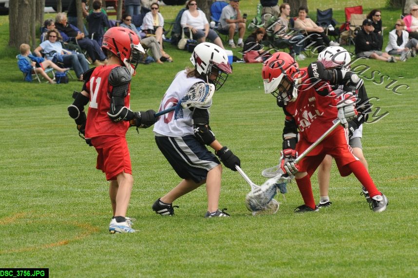 Albany Lacrosse Jamboree