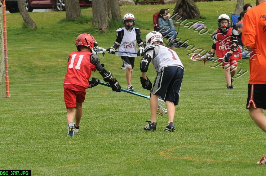 Albany Lacrosse Jamboree