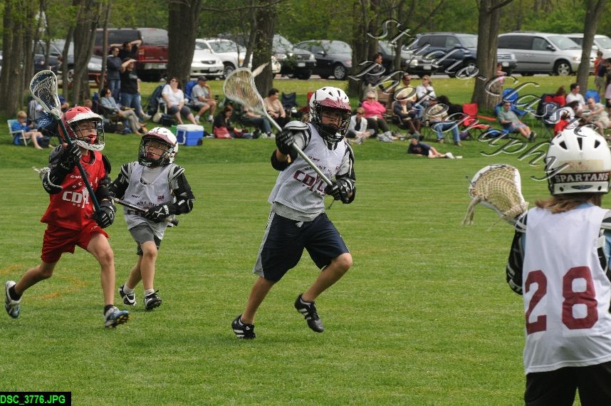Albany Lacrosse Jamboree