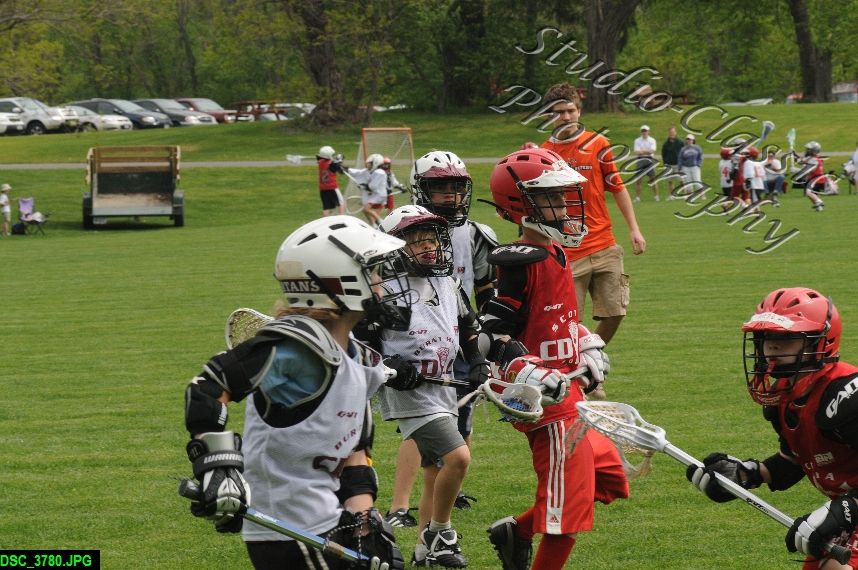 Albany Lacrosse Jamboree