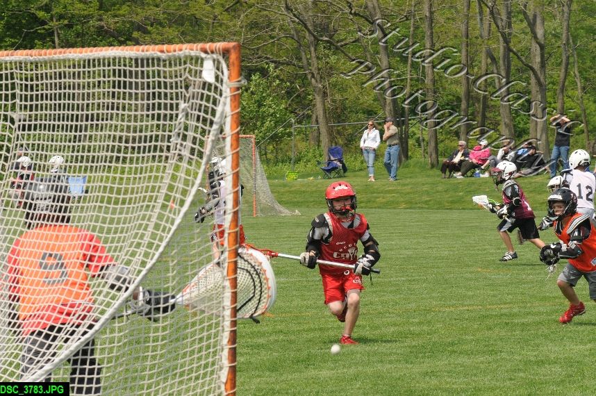 Albany Lacrosse Jamboree