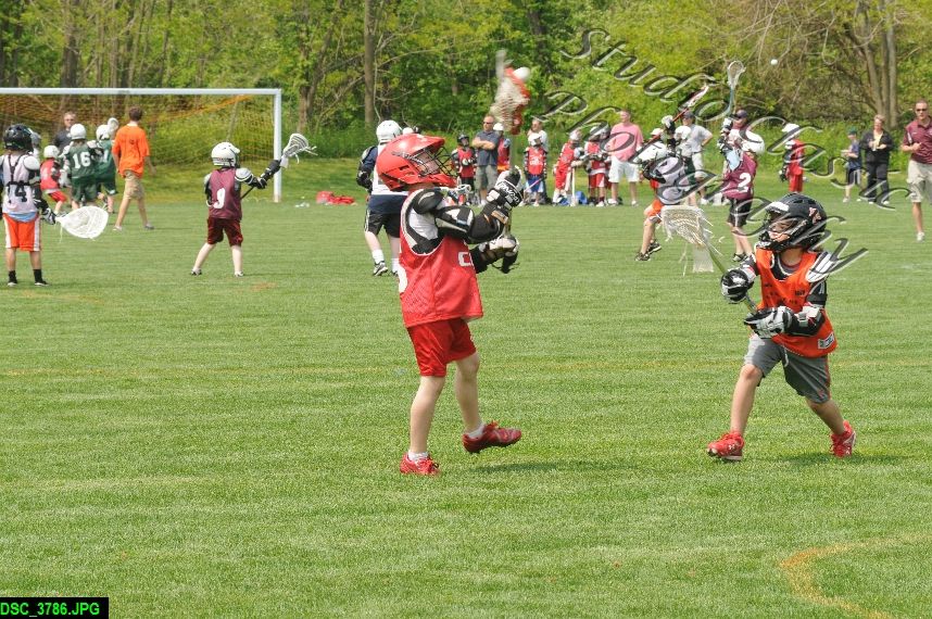 Albany Lacrosse Jamboree