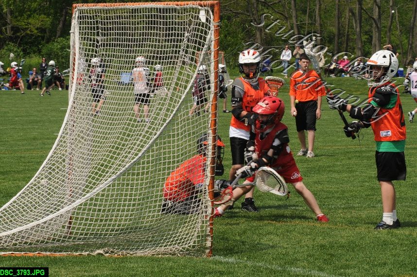 Albany Lacrosse Jamboree