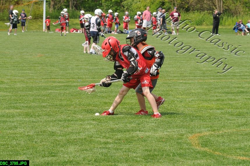Albany Lacrosse Jamboree