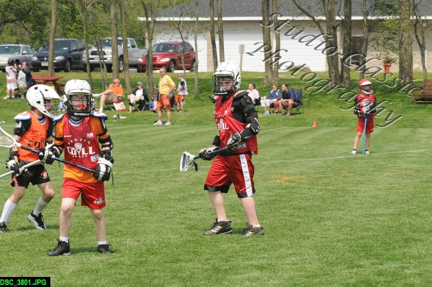 Albany Lacrosse Jamboree