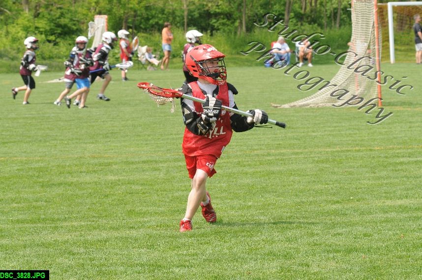 Albany Lacrosse Jamboree