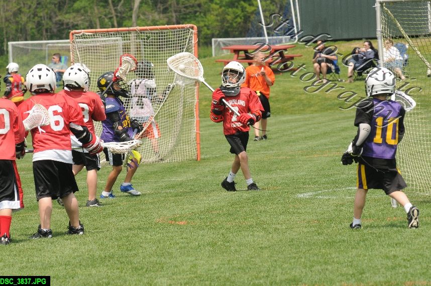Albany Lacrosse Jamboree