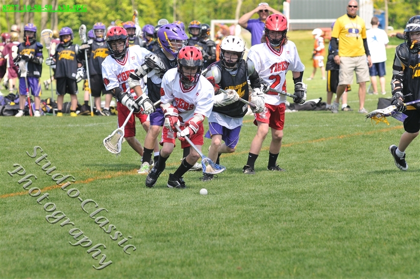 Guilderland Lacrosse Jamboree