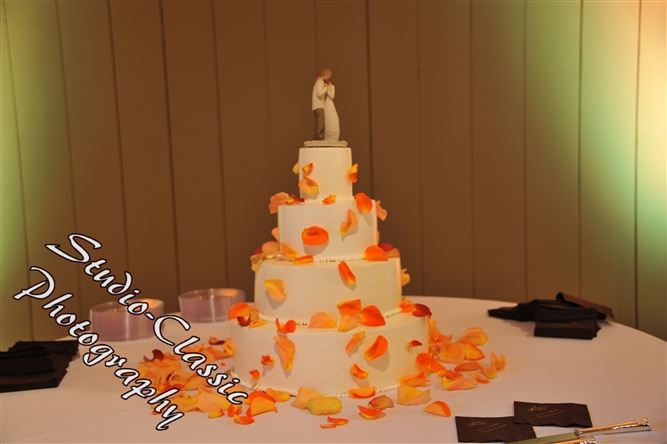 Stamford Wedding