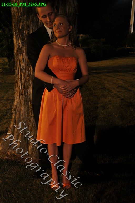 Virginia Wedding