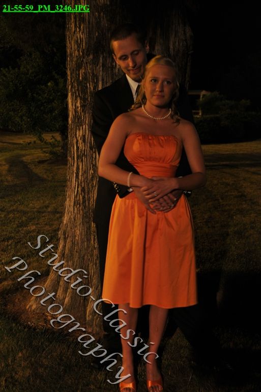 Virginia Wedding