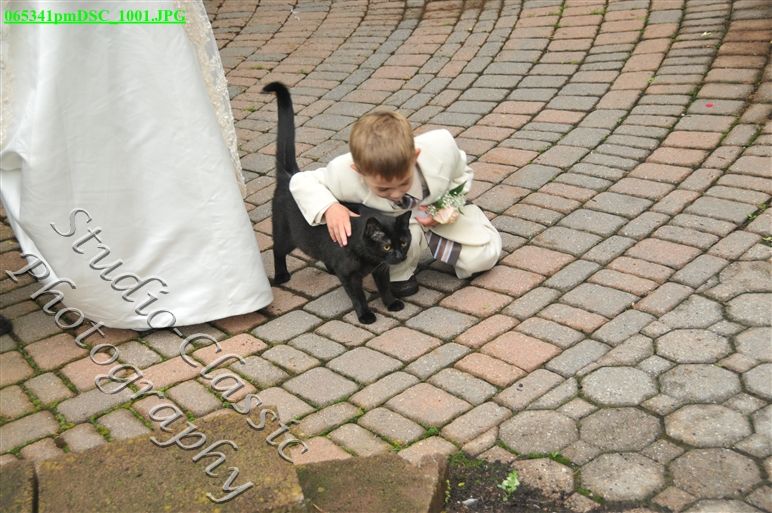 Maryville Wedding